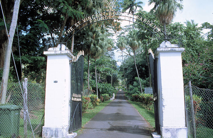 St. Vincent-02-016.jpg